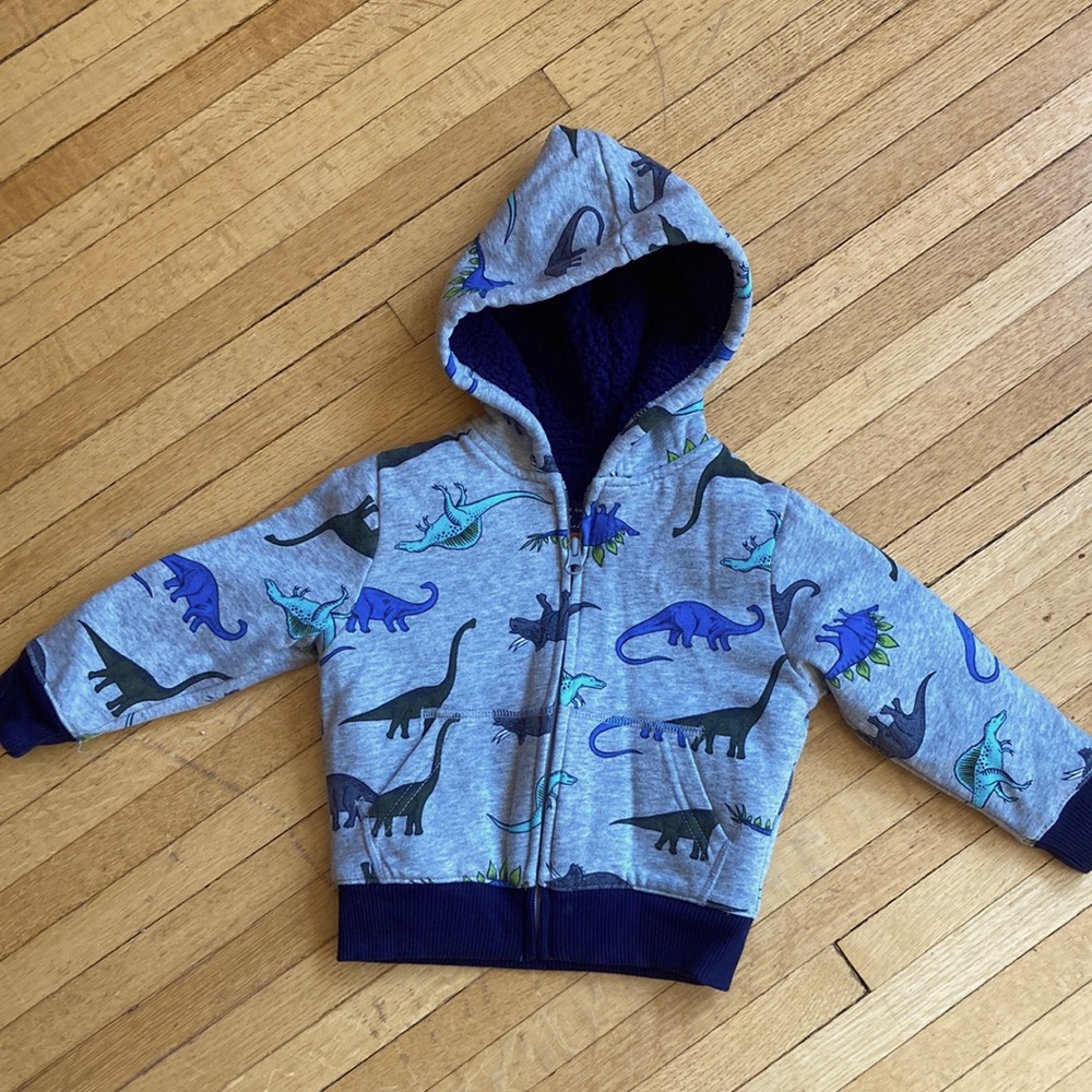 2T dinosaur hoodie